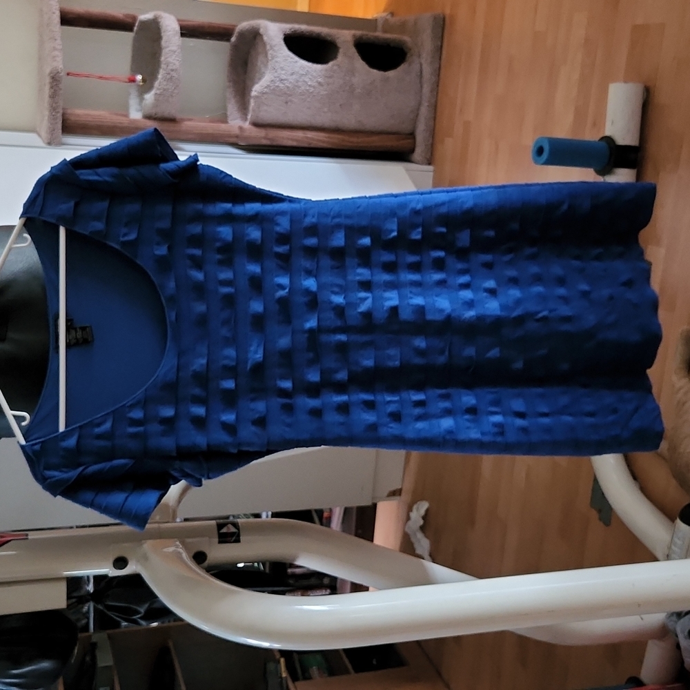Blue dress size large